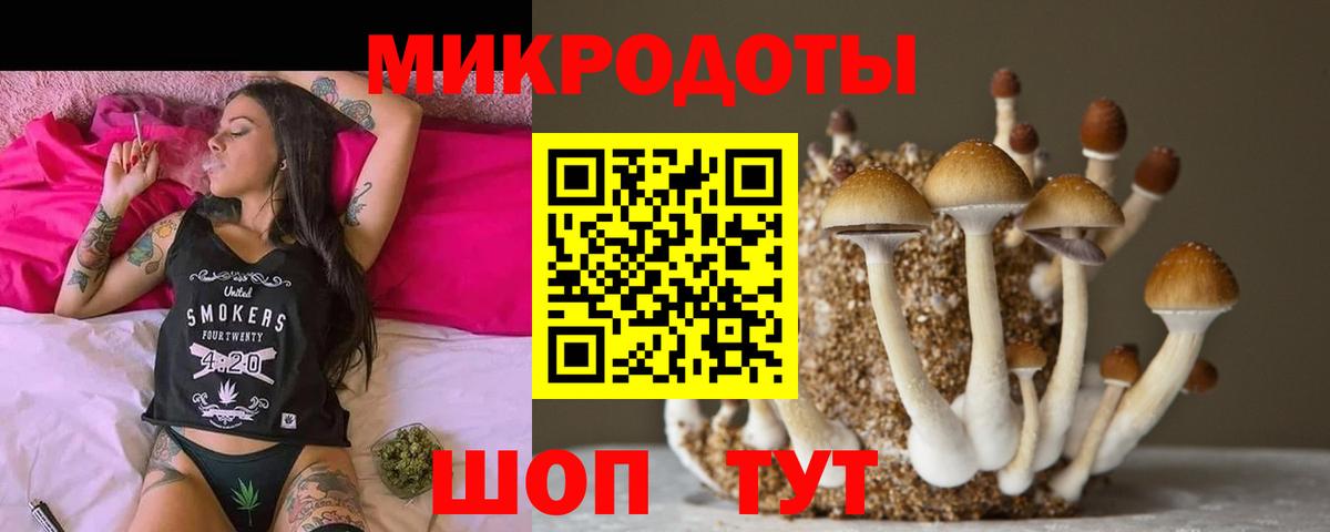 Оренбург  Псилоцибиновые грибы Cubensis  Вход с VPN 
